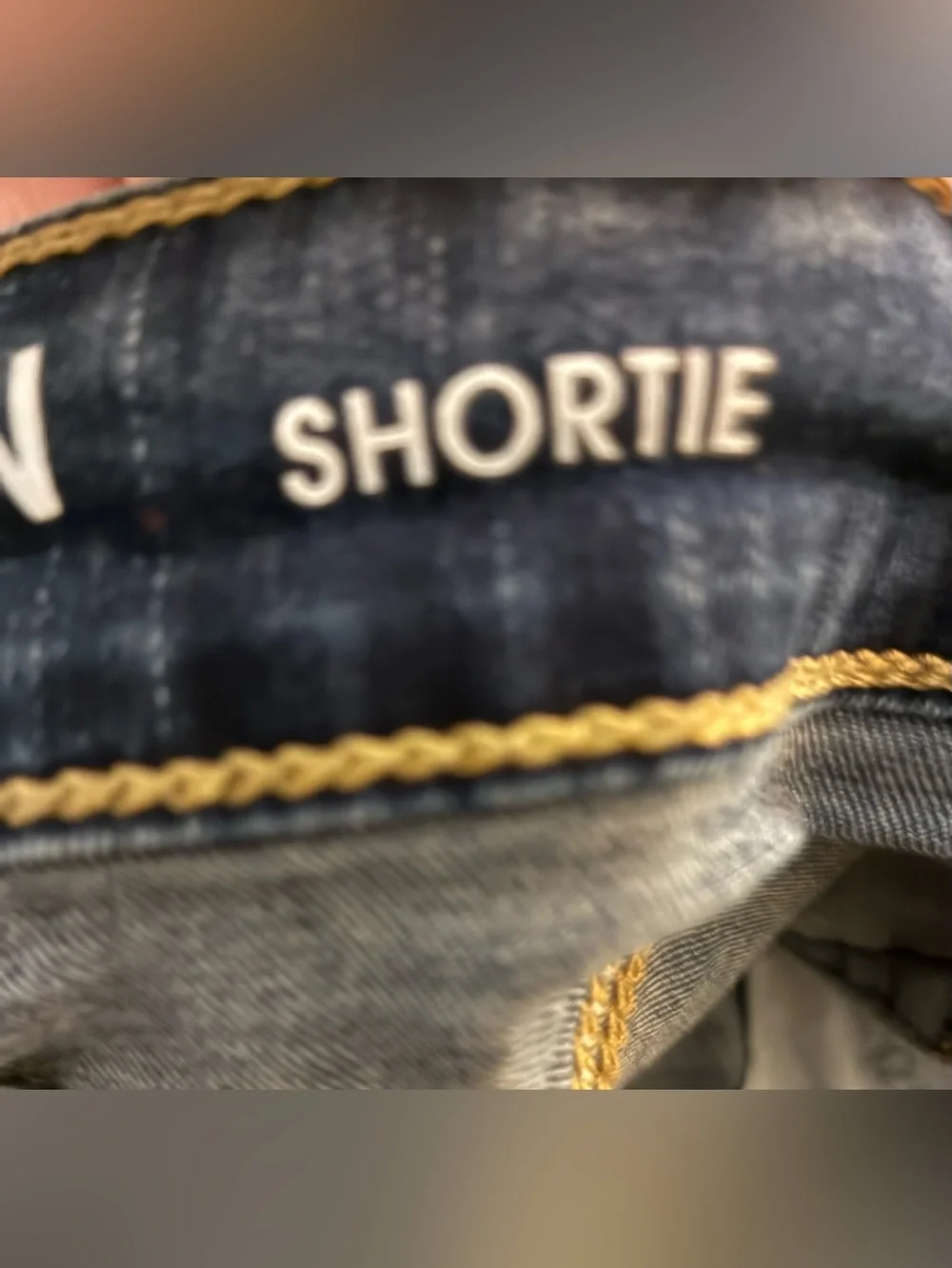 Denizen from Levis denizen levis